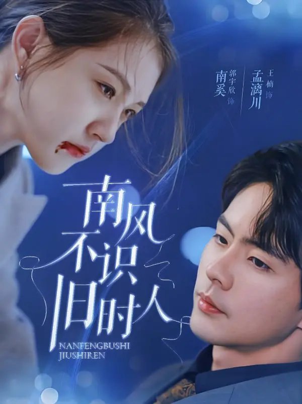 《南风不识旧时人》：烽火乱世下的爱恨情仇，英雄迟暮，美人落泪！