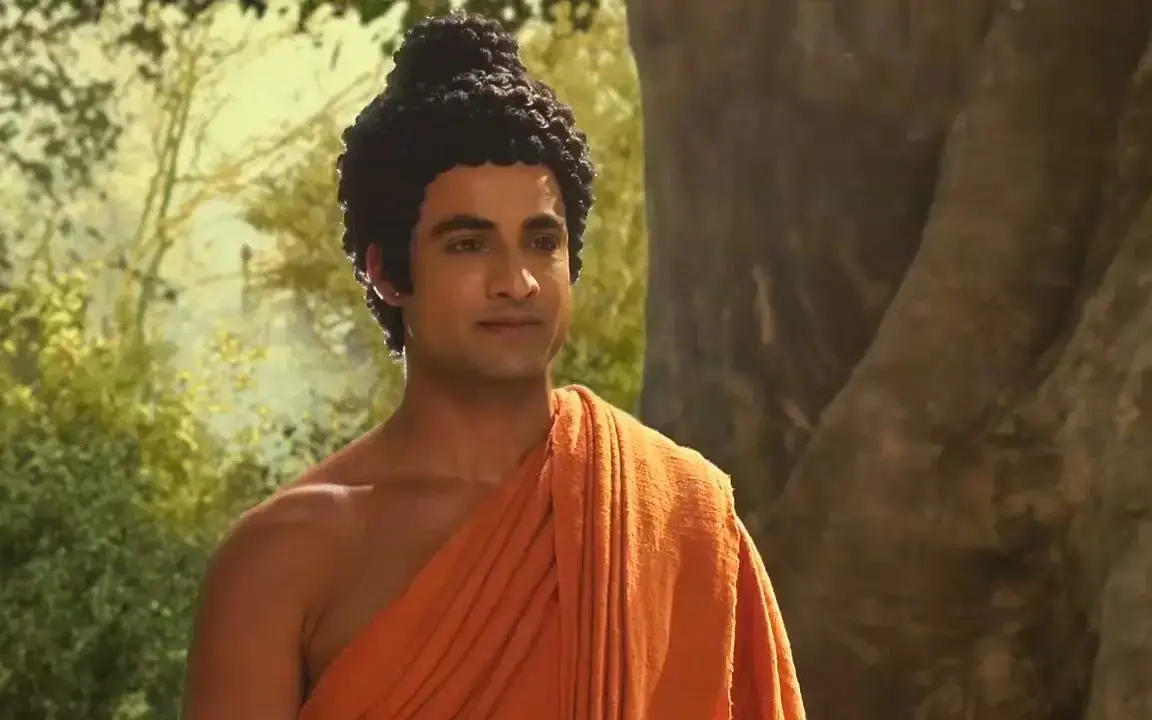 《释迦牟尼佛》：一场心灵的朝圣之旅，探寻生命的真谛与智慧！