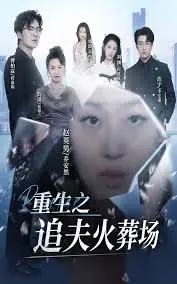 《重生之追夫火葬场》：虐恋情深？还是自我救赎？深度解读重生复仇剧！