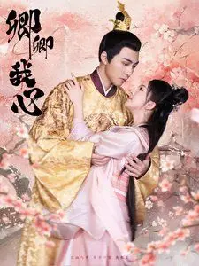 穿越时空的爱恋：《卿卿我心》如何定义真爱与命运的碰撞